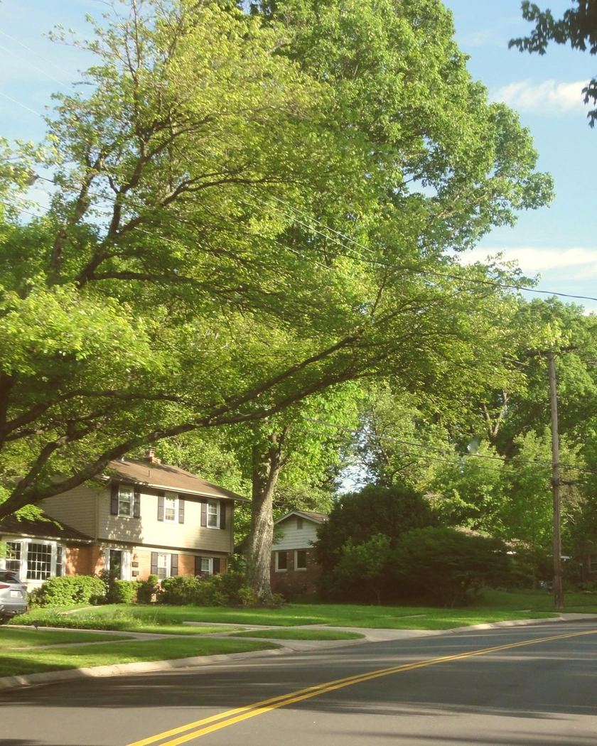 A tree-lined North Alabama neighborhood street